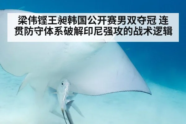 梁伟铿王昶韩国公开赛男双夺冠 连贯防守体系破解印尼强攻的战术逻辑